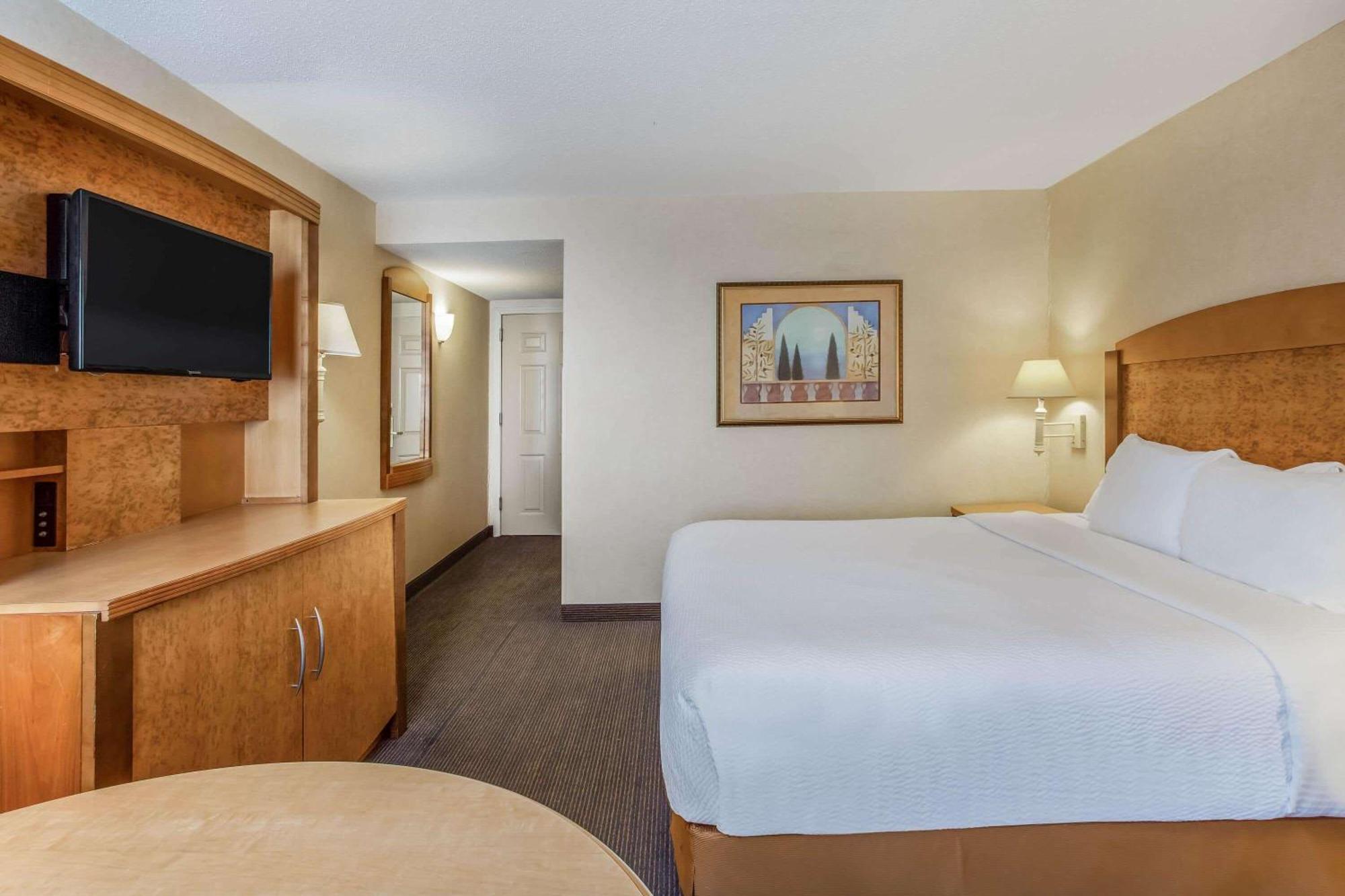 Standard King Room