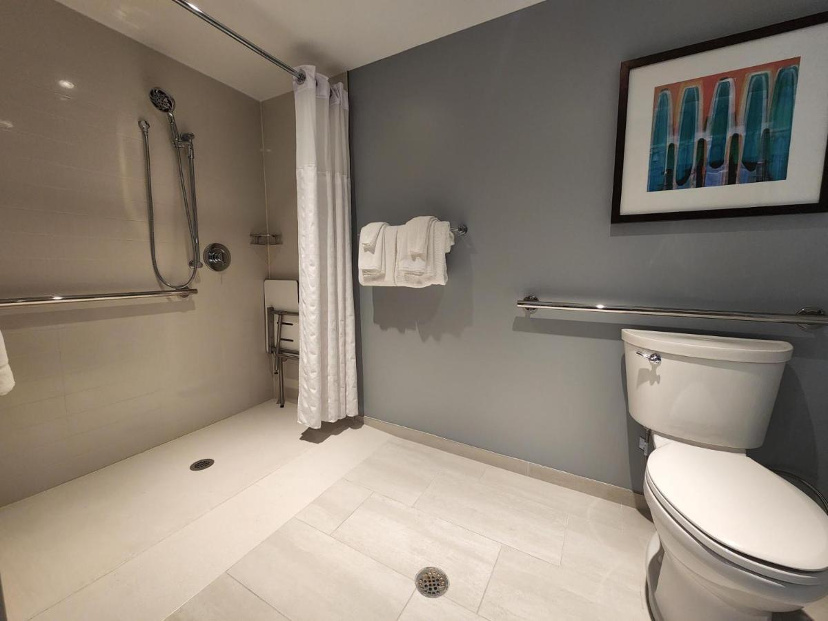 King Room Sofa Bed Roll Shower Disability Access