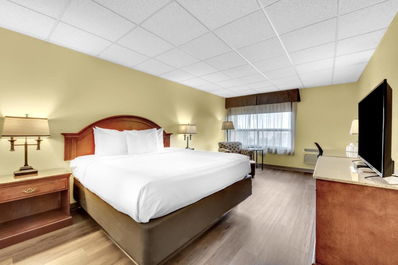 King Room Pet Friendly