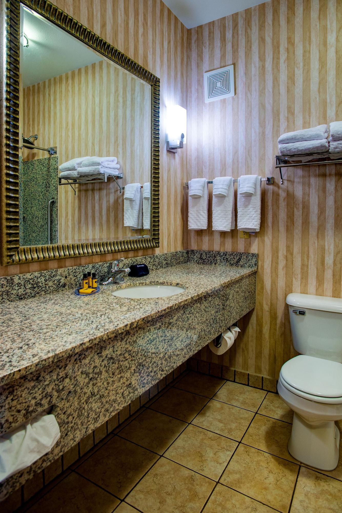 Mini King Suite Non-Smoking