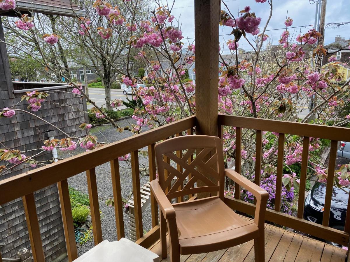 Queen Suite Sofabed 2nd Floor Pets Allowed