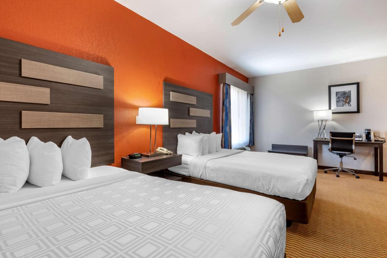 Queen Suite with Two Queen Beds, Roll-In Shower and Sofa Bed - Disability Access/Non-Smoking
