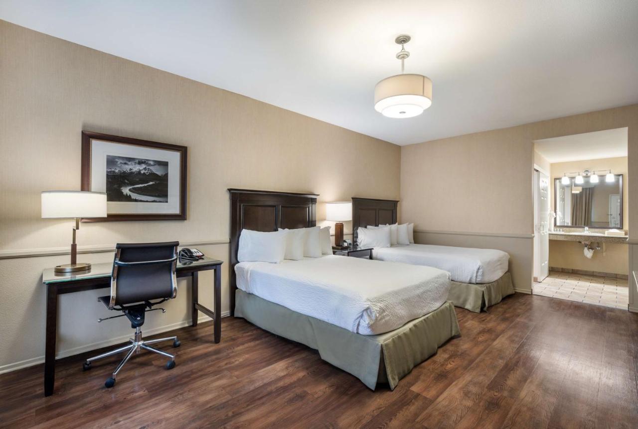 Queen Room Two Queen Beds Non-Smoking