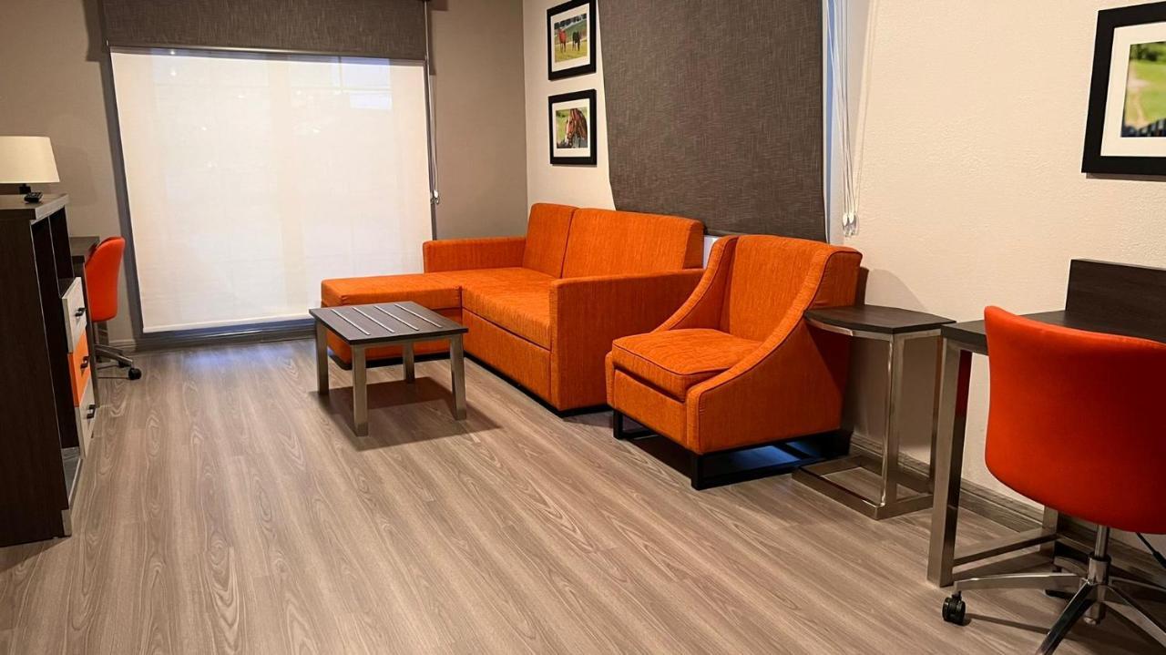 One-Bedroom King Suite Non-Smoking