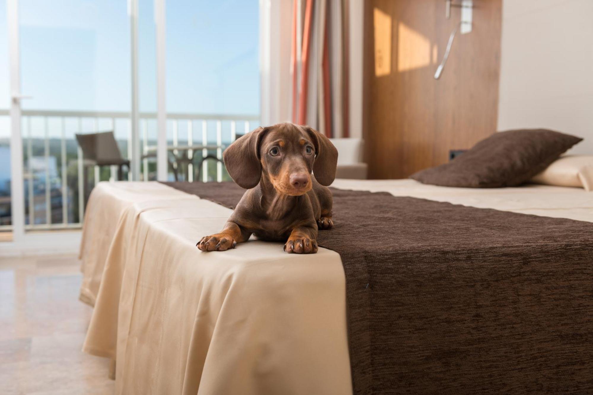 Double or Twin Room Balcony