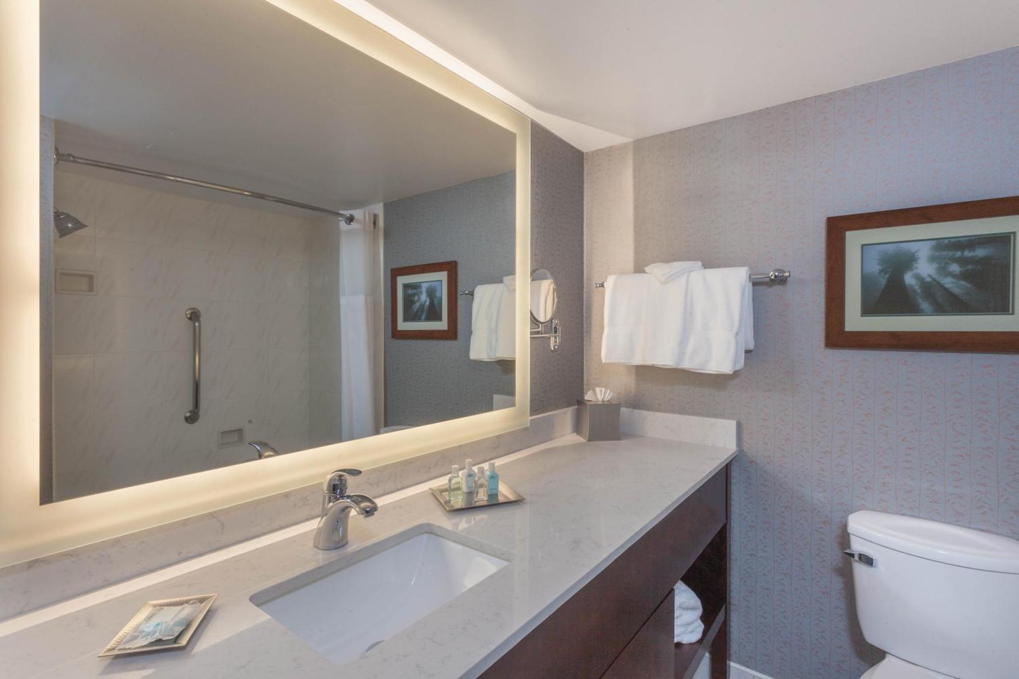 Deluxe Suite met 1 Slaapkamer met Kingsize Bed - Rookvrij