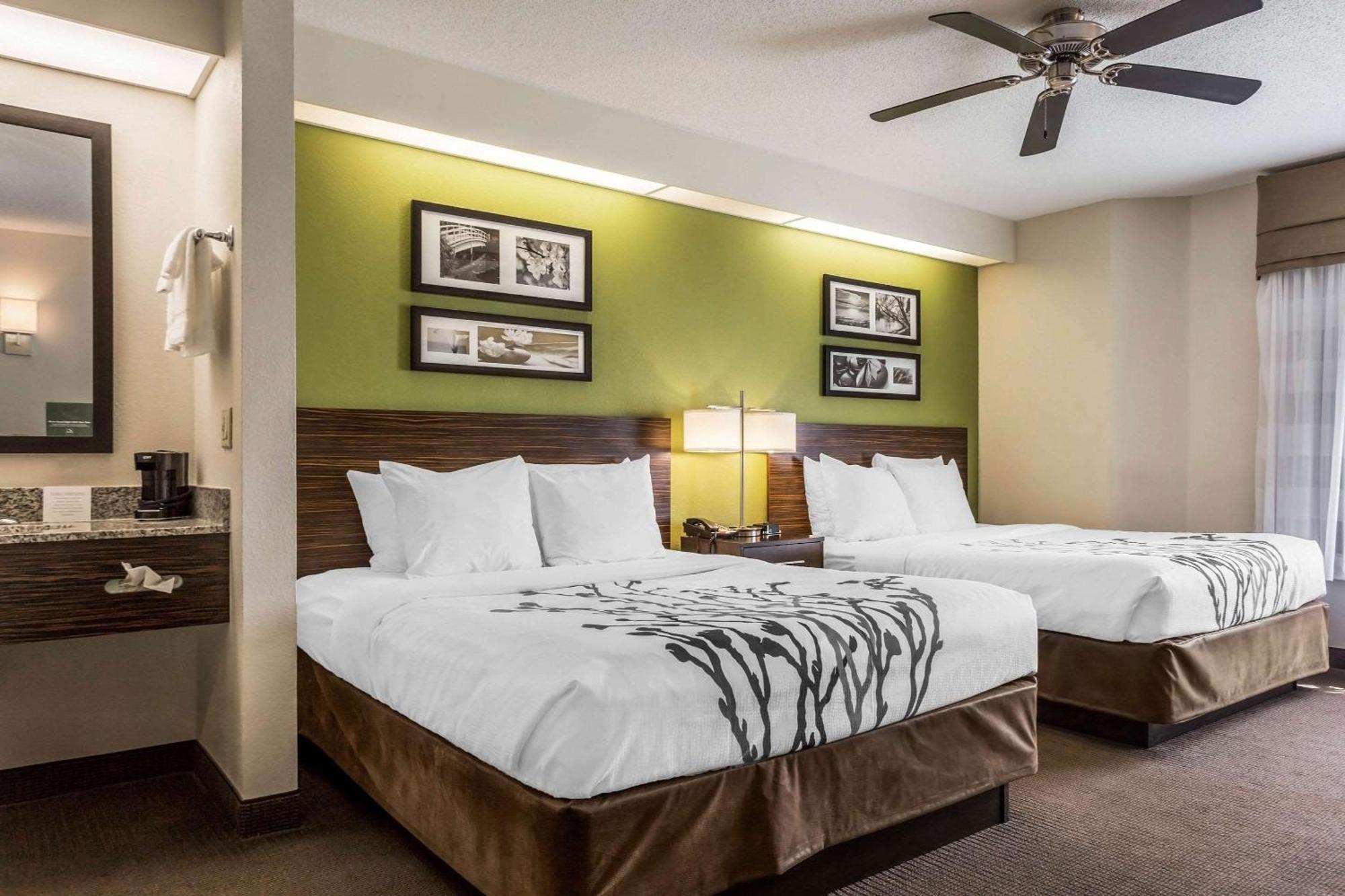 Standard Queen Room