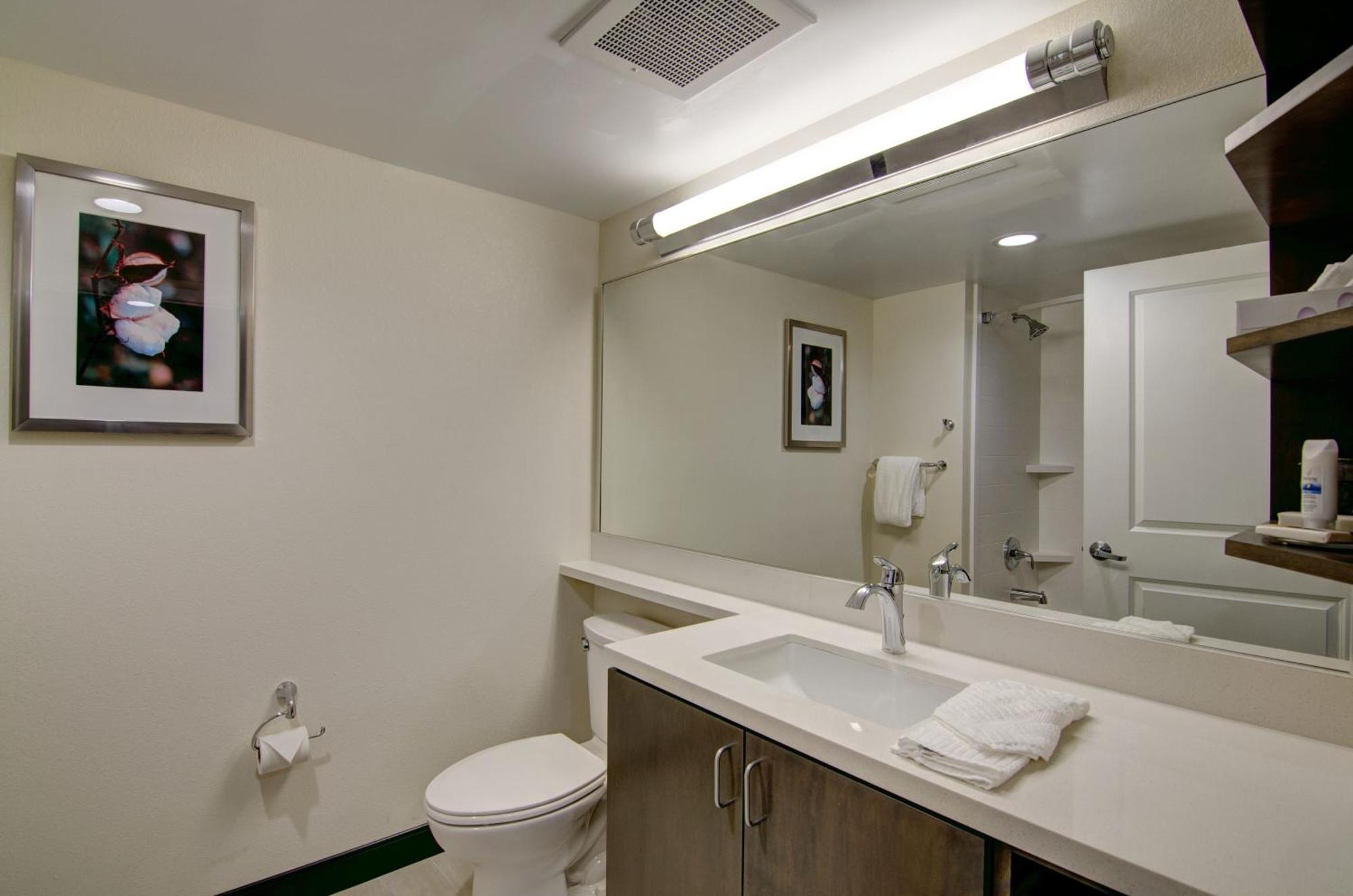 One-Bedroom King Suite
