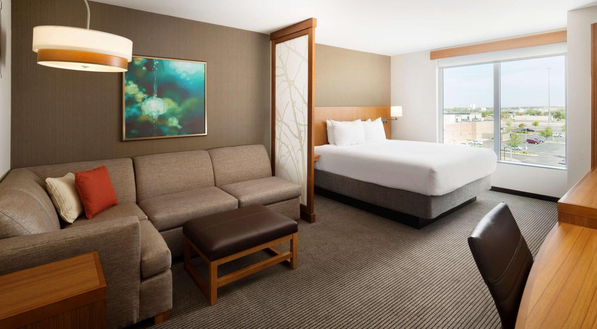 King Room Sofa Bed Accessible Tub Disability Access