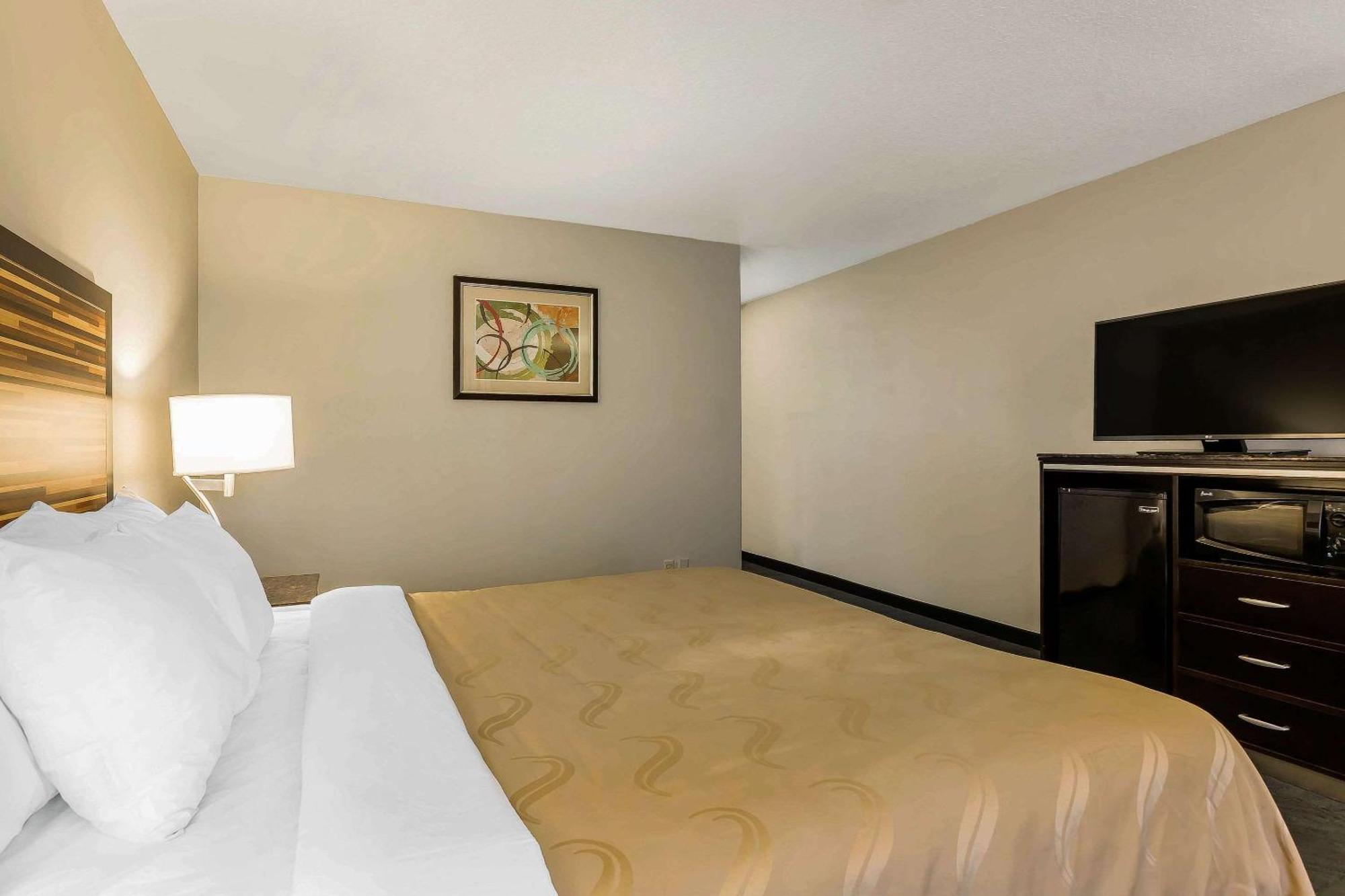Standard Room 1 King Bed Non Smoking