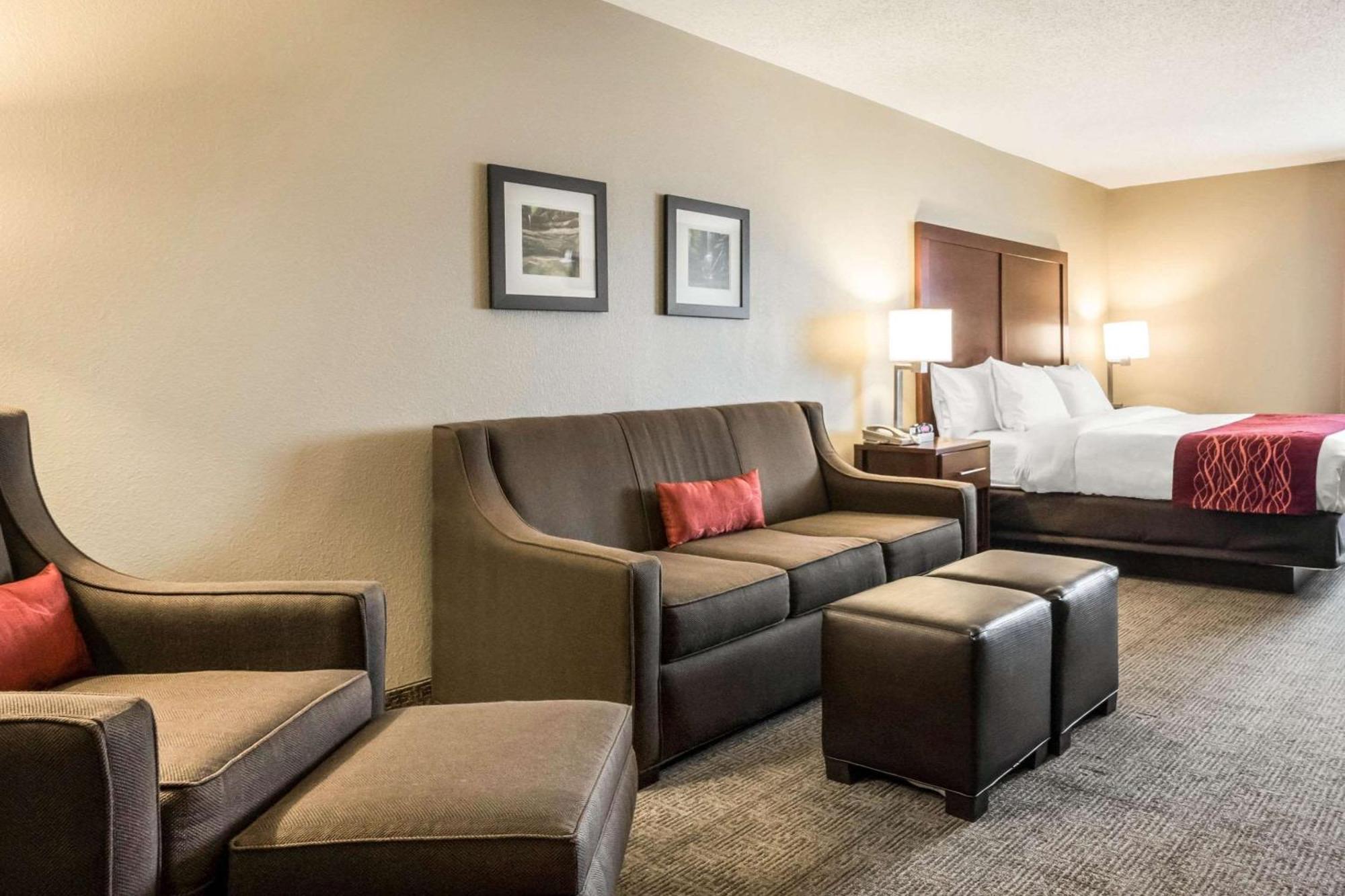 Standard King Room with Sofa Bed - Non-Smoking