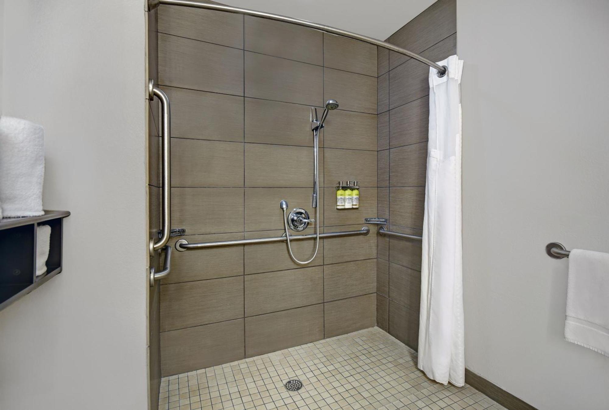 King Suite - Disability Access Roll in Shower/Non-Smoking