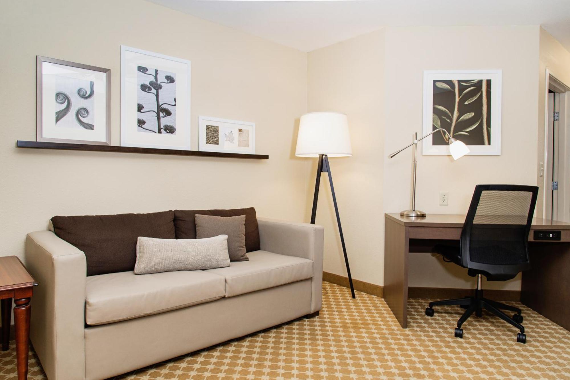 One-Bedroom King Suite