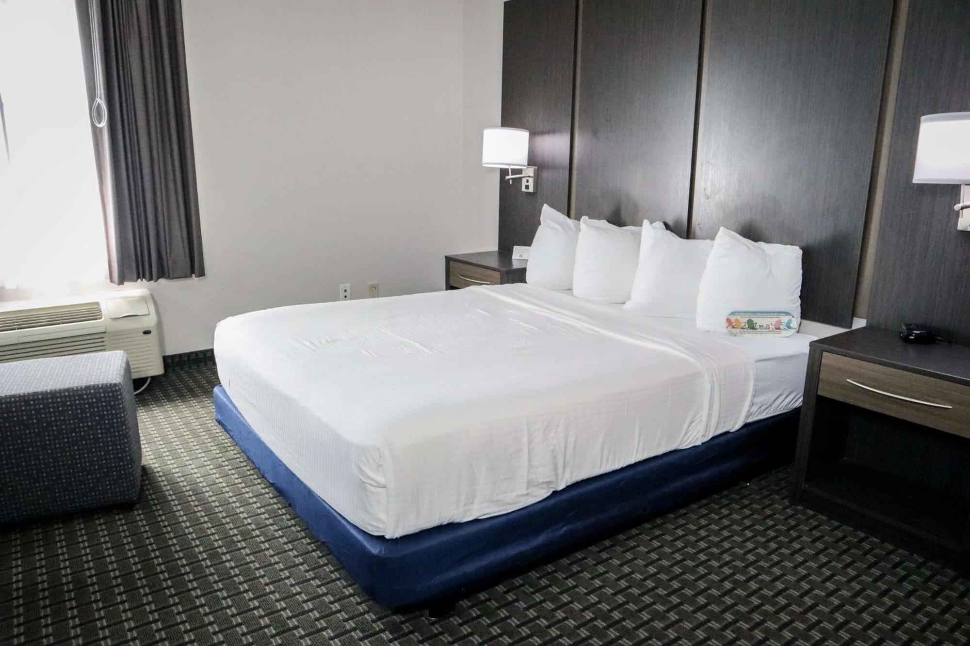 Queen Room Mobility Accessible Roll Shower