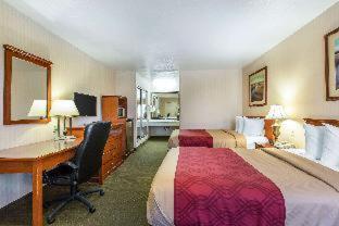 Double Room Two Double Beds