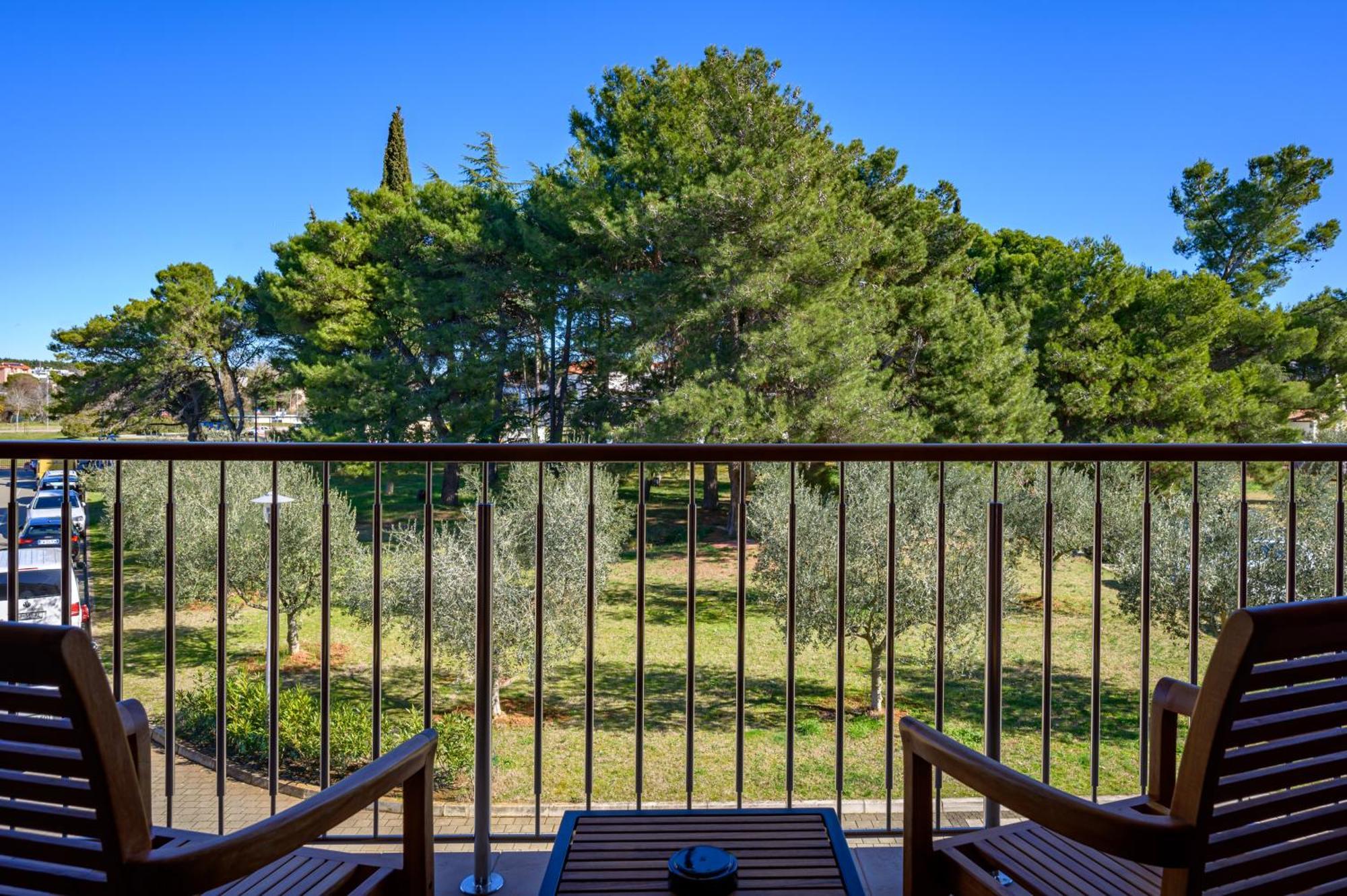 Double Room Balcony Park View