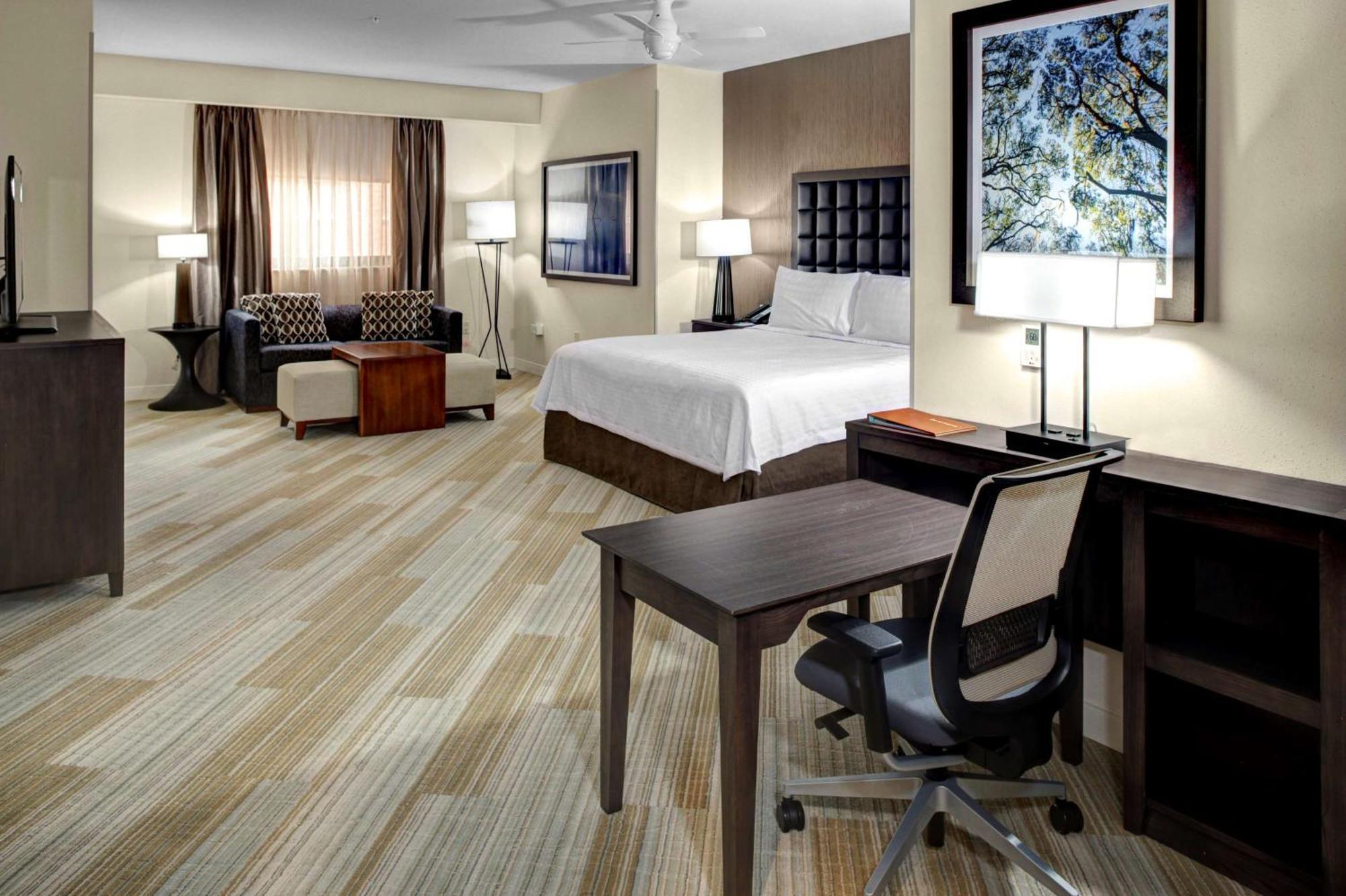 King Studio Suite - Hearing Access/Non-Smoking