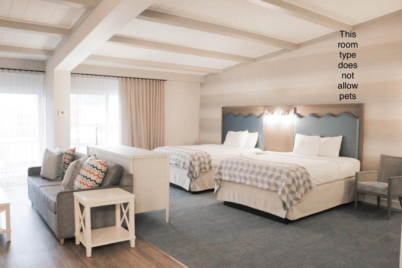 Studio Suite with Two Queen Beds - Non-Smoking