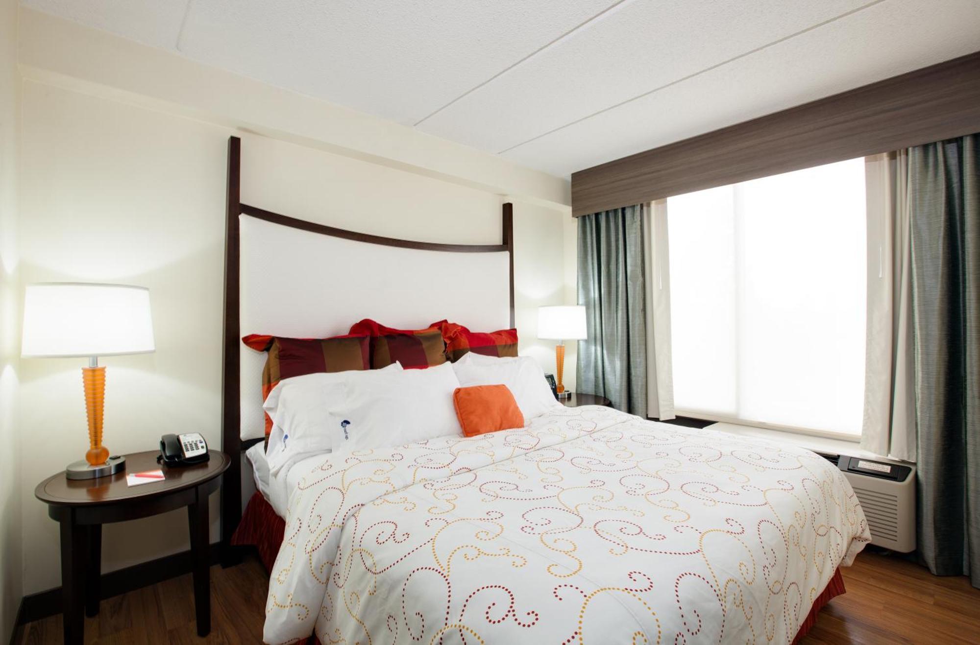 Standard King Room Sofa Bed