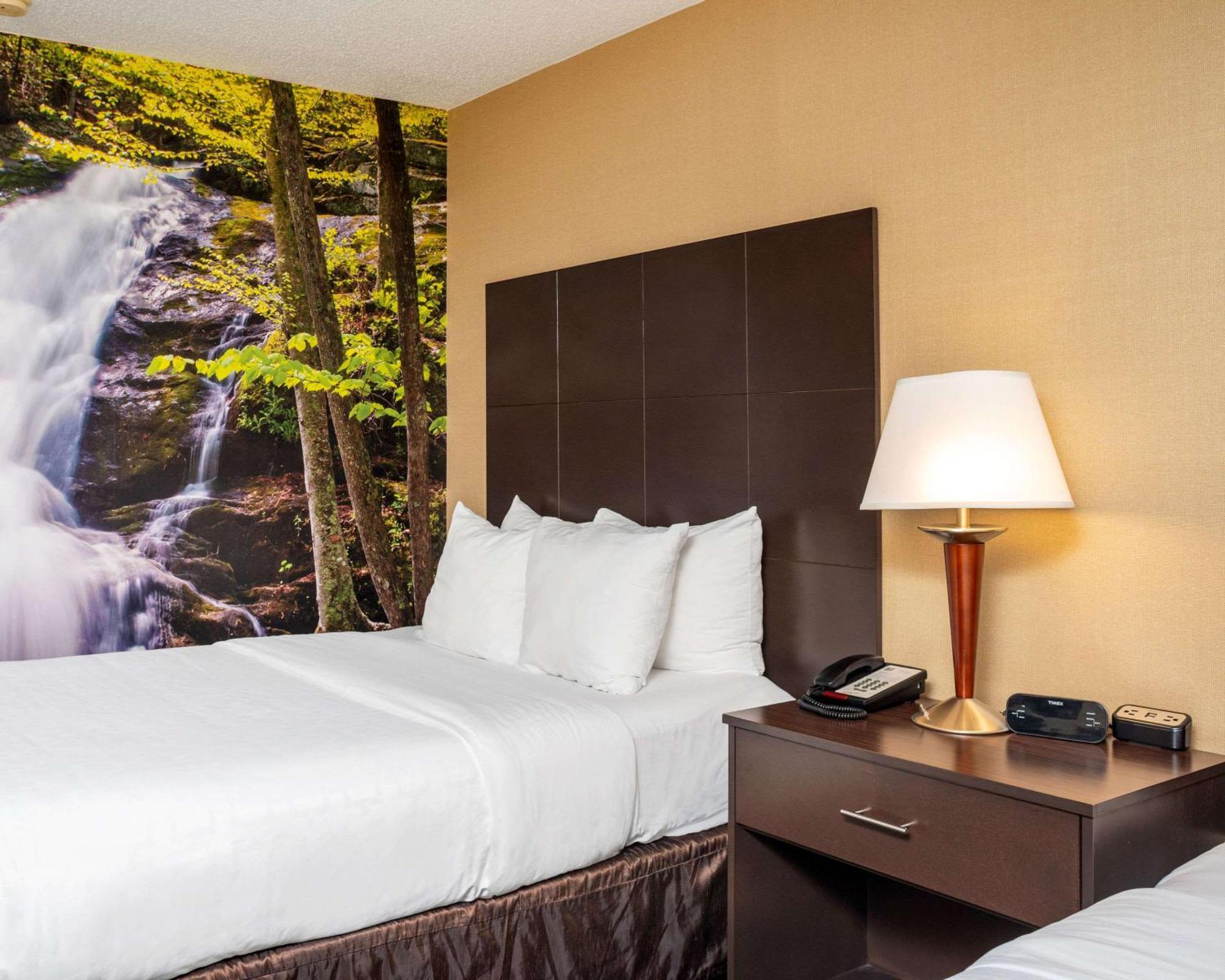 Double Room Two Double Beds Non-Smoking