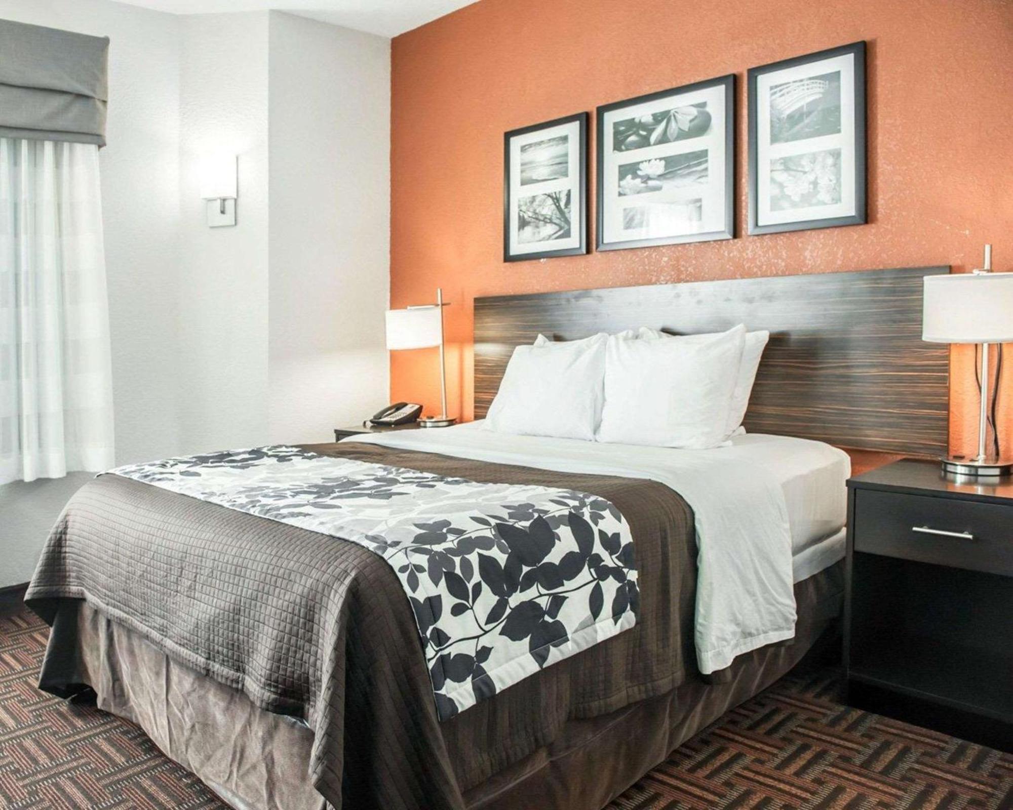 One Room Suite with Sofa bed - Non Smoking