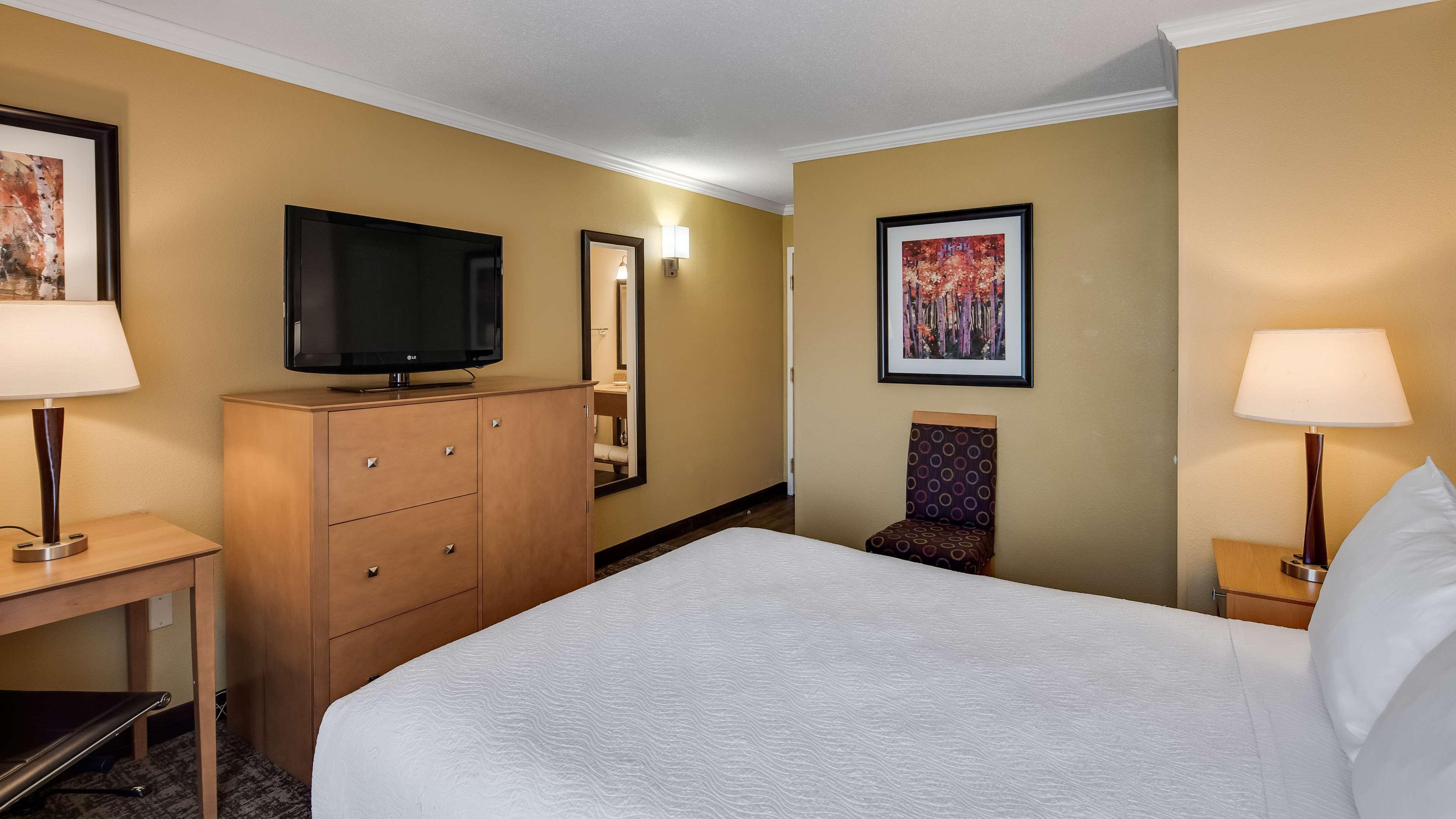 Queen Room Pet Friendly