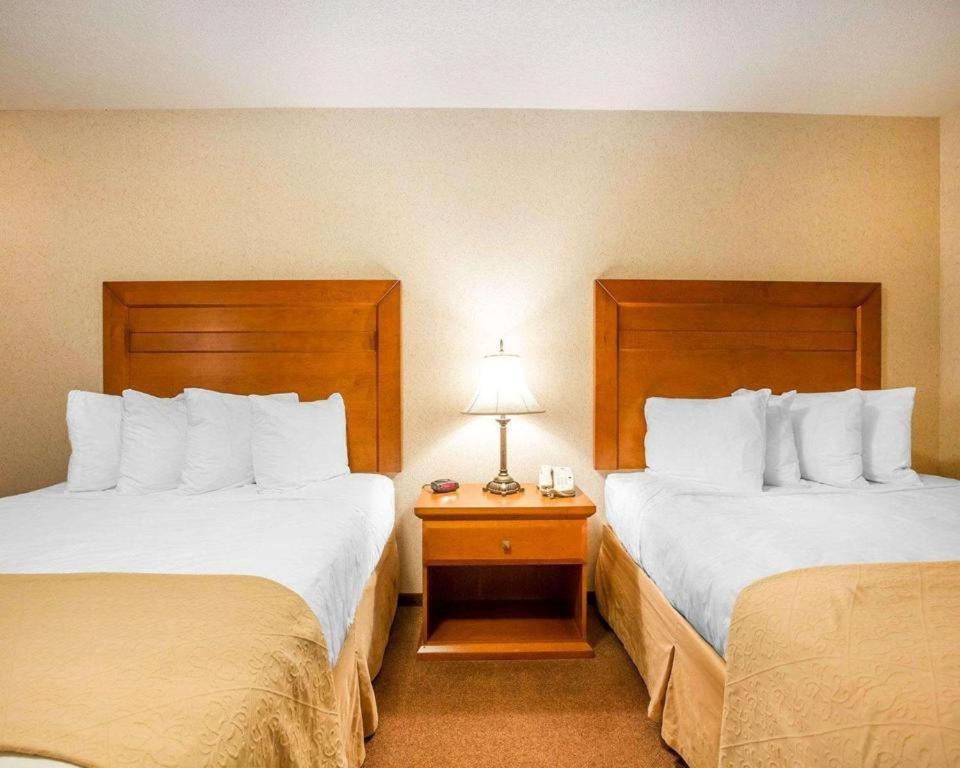 Queen Room Two Queen Beds Non-Smoking