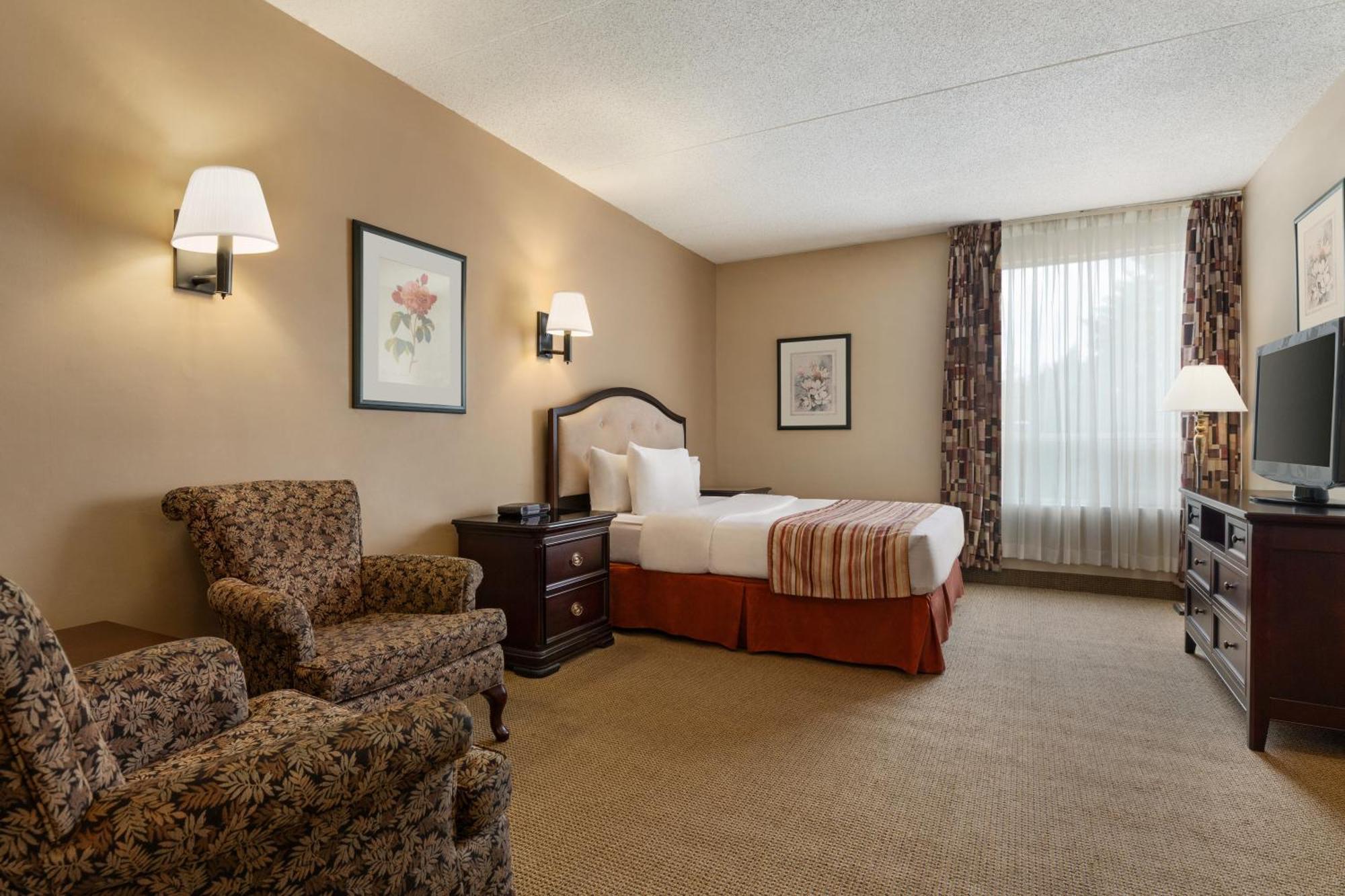 Queen Room Pet Friendly or Non-Smoking