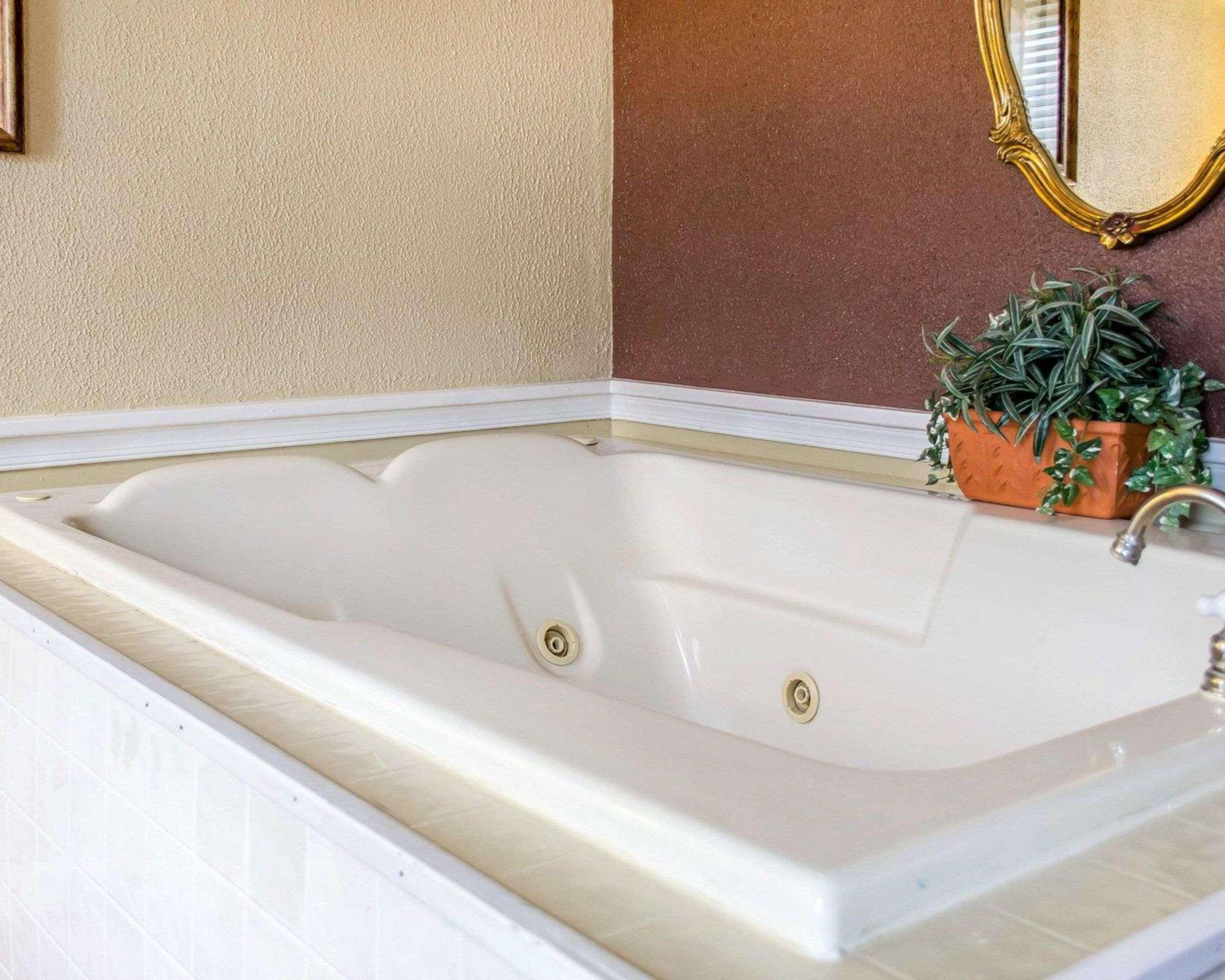 Queen Room Two Queen Beds Pet Friendly