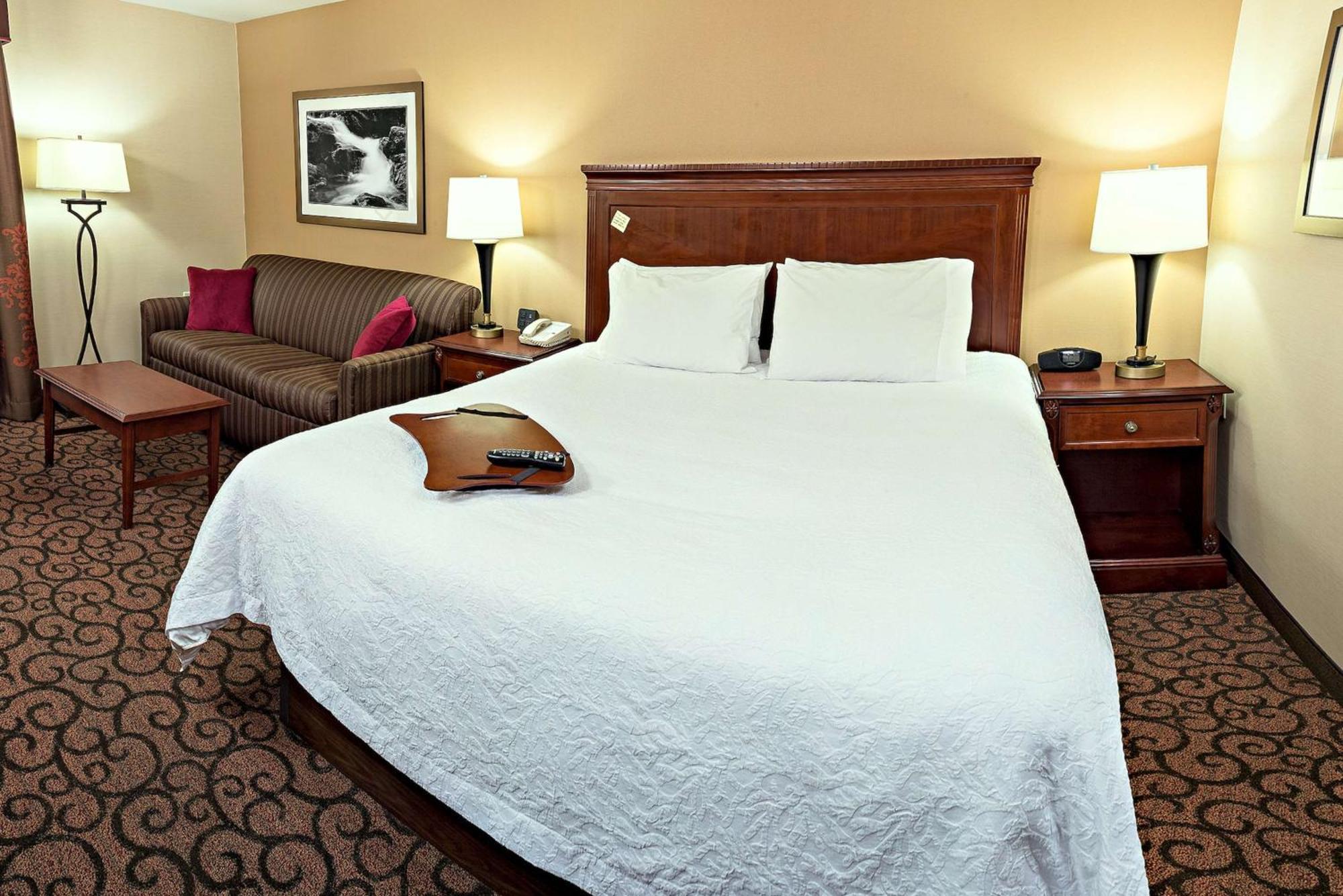 King Room Sofa Bed Non-Smoking