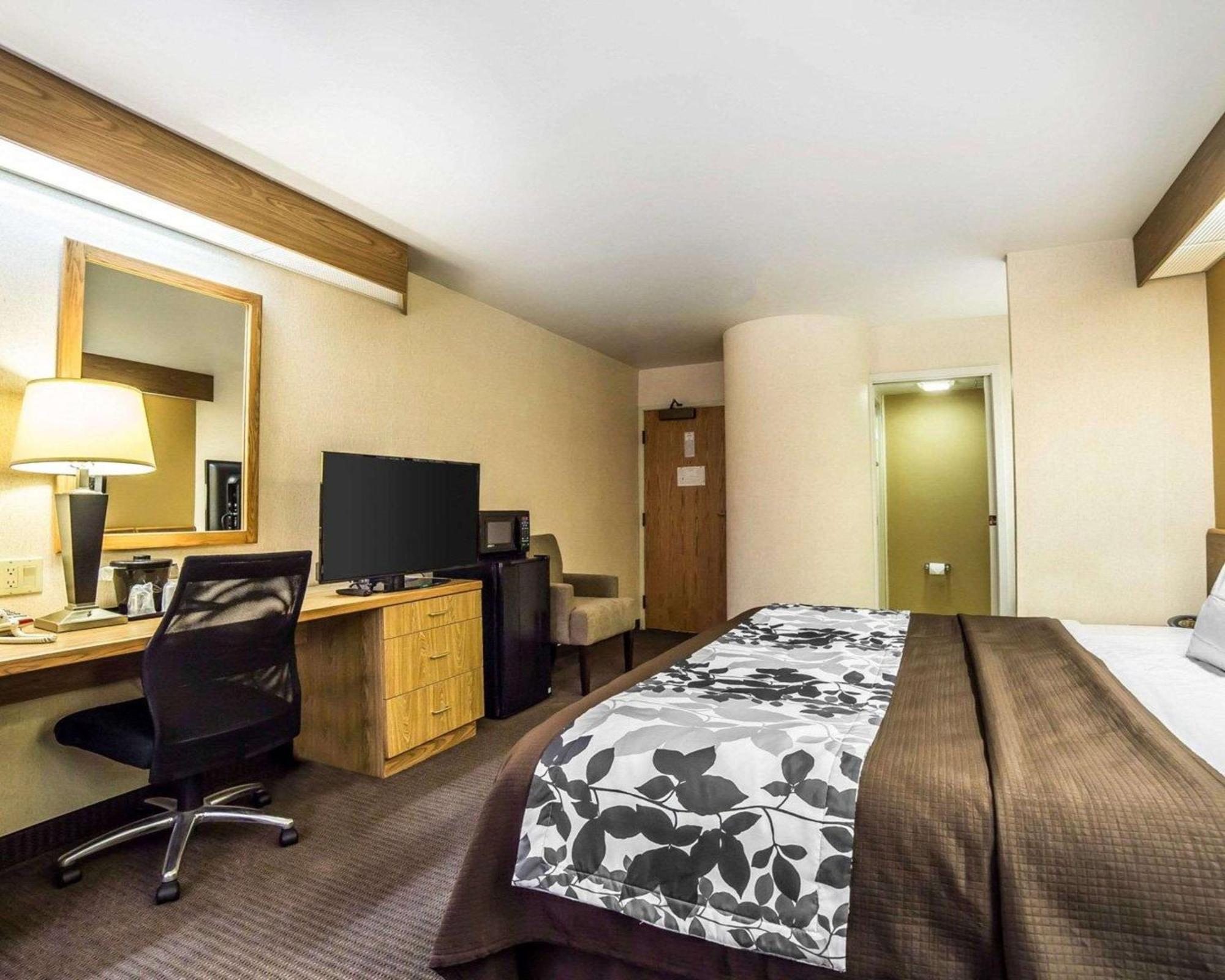 King Room Non-Smoking