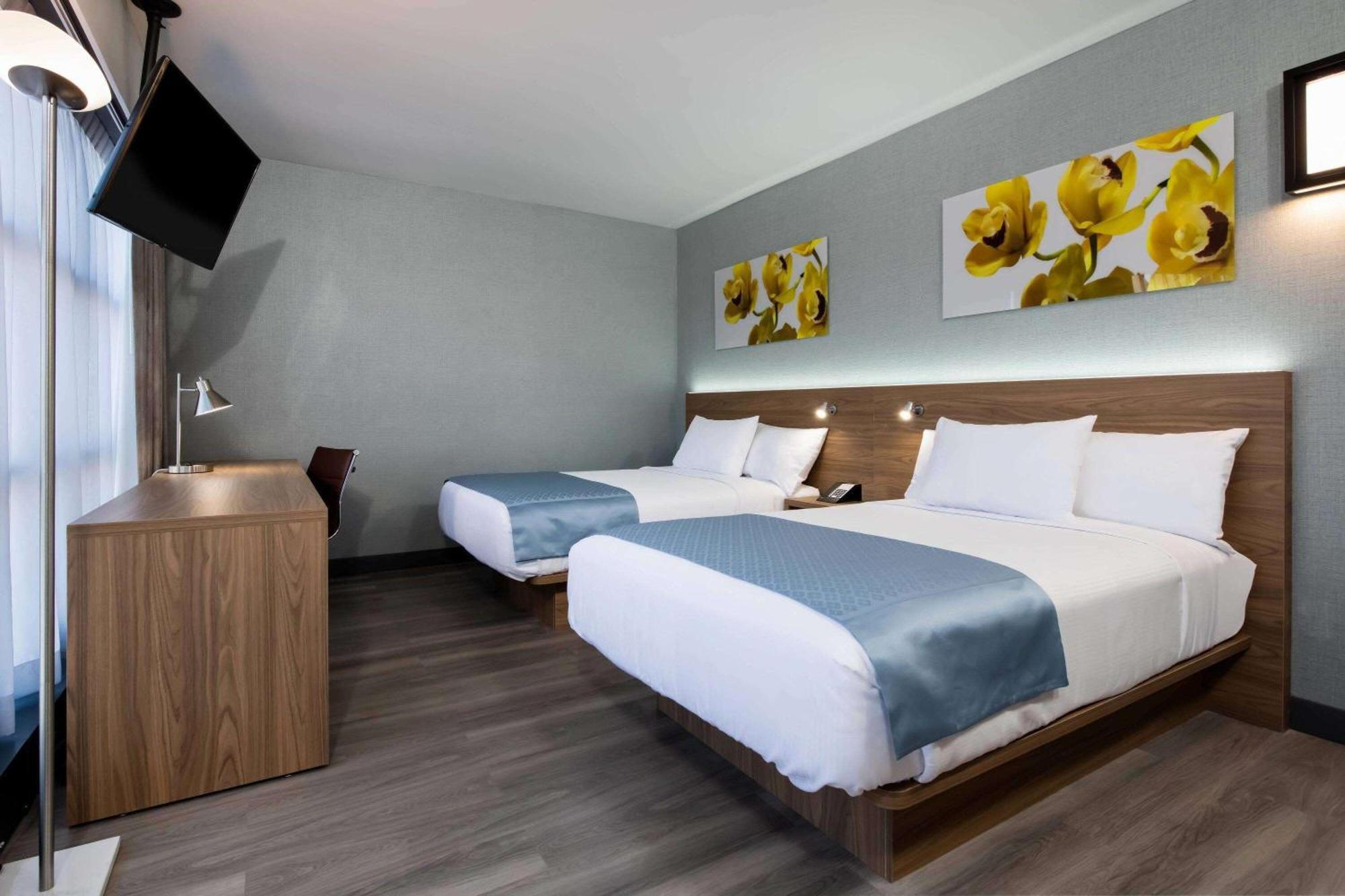 Double Room Two Double Beds Non-Smoking