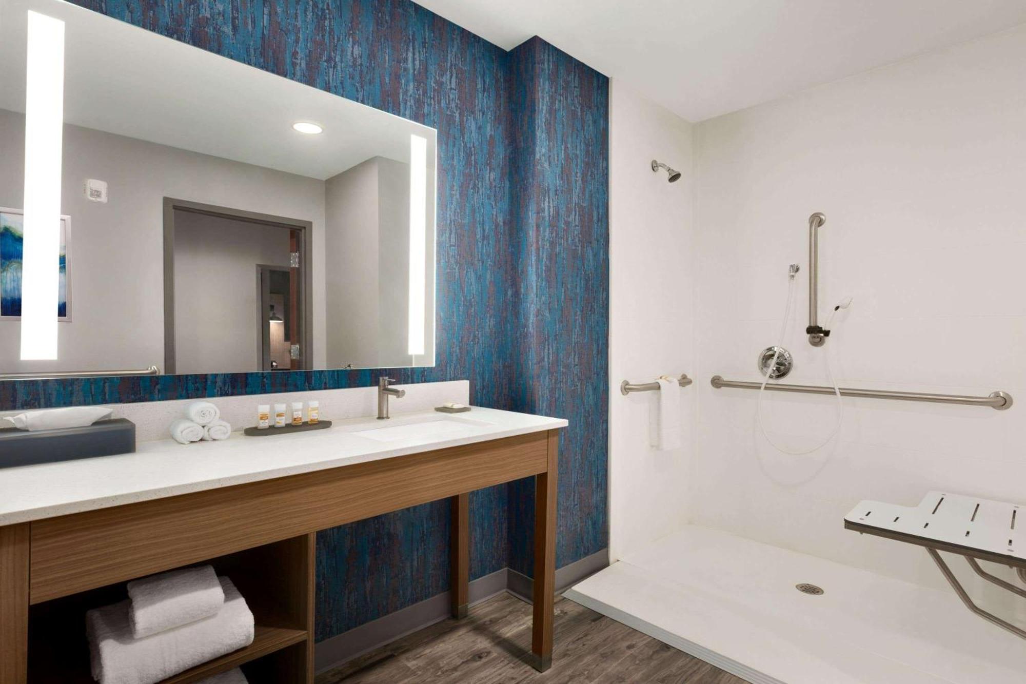 King Room Roll Shower Mobility Access or Non-Smoking