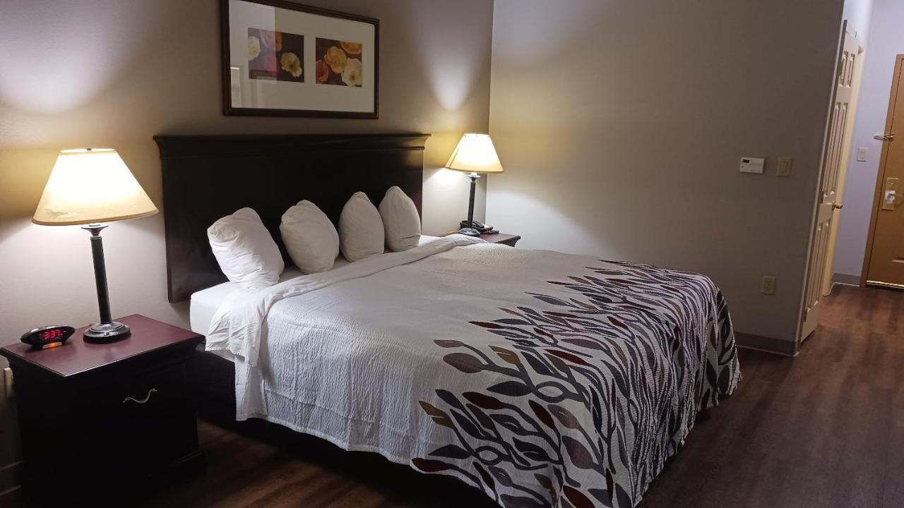 Suite King Room Non-Smoking,1294422763:JPEG