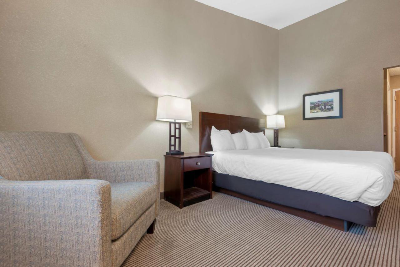 King Room Roll Shower Disability Access or Non-Smoking