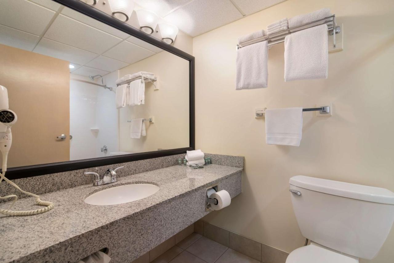 King Room with Mobility Accessible Roll-In Shower - Non-Smoking