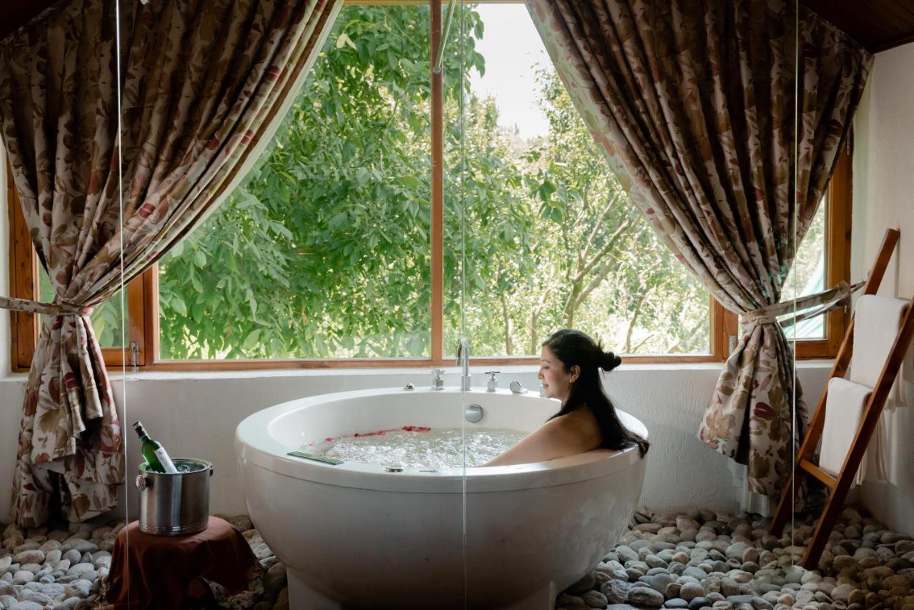 Luxury Suite Mountain View