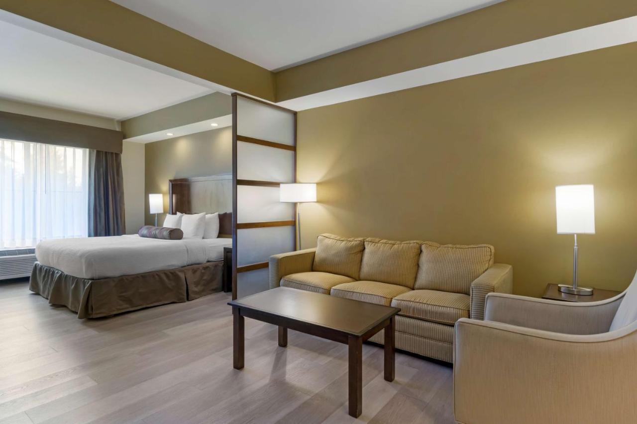 King Suite with Sofa Bed - Non-Smoking