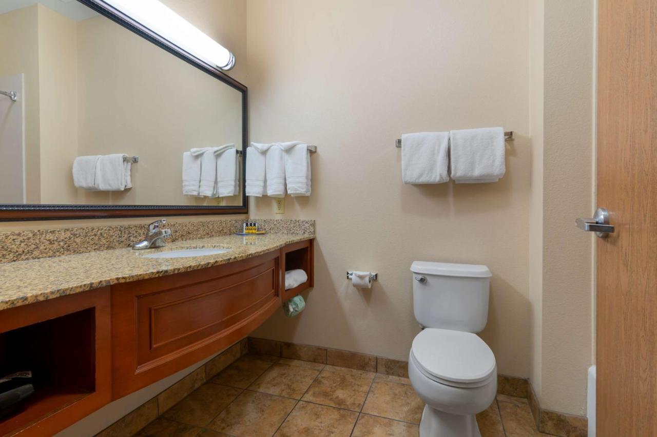 King Room Pet Friendly or Non-Smoking