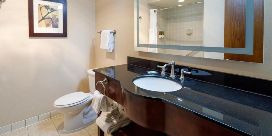 Premium King Room