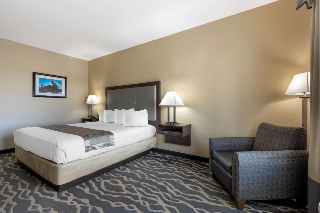 King Room with Roll-in Shower - Pet Friendly/Mobility Accessible
