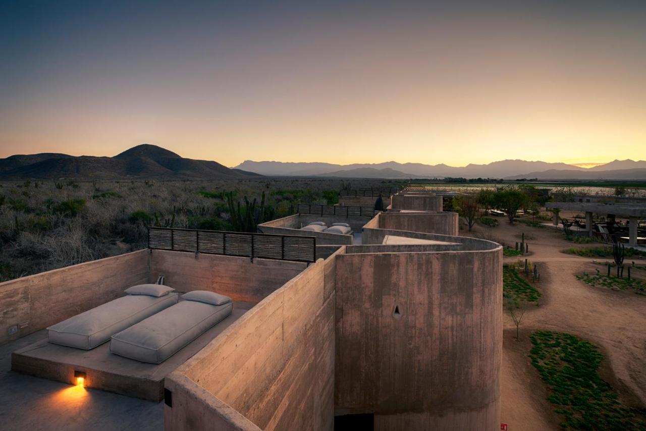 Cacti Sky Suite 1 King Bed
