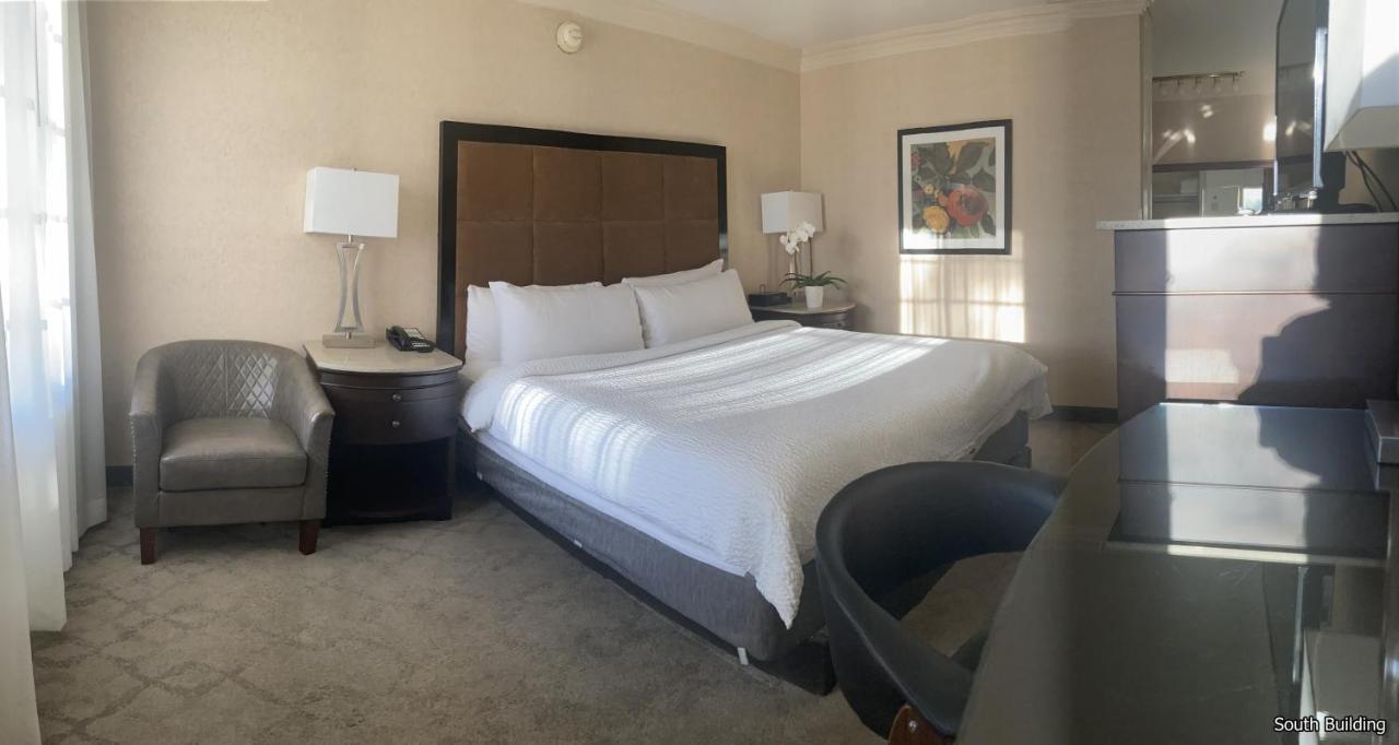 Standard King Room [South Building]