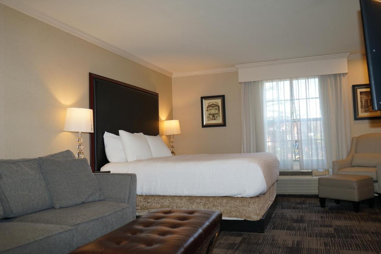 Superior King Studio Suite Non-Smoking