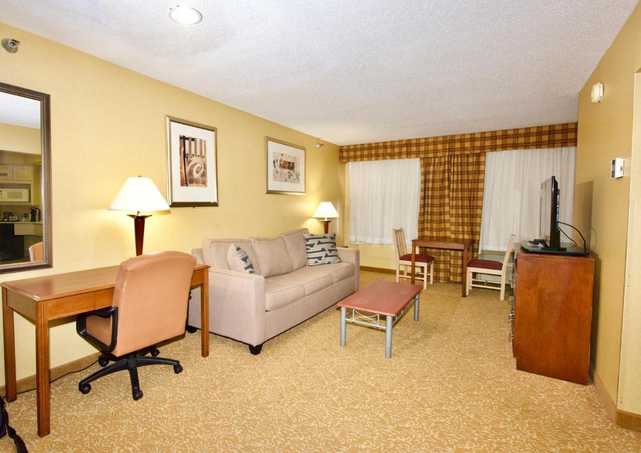One-Bedroom King Suite