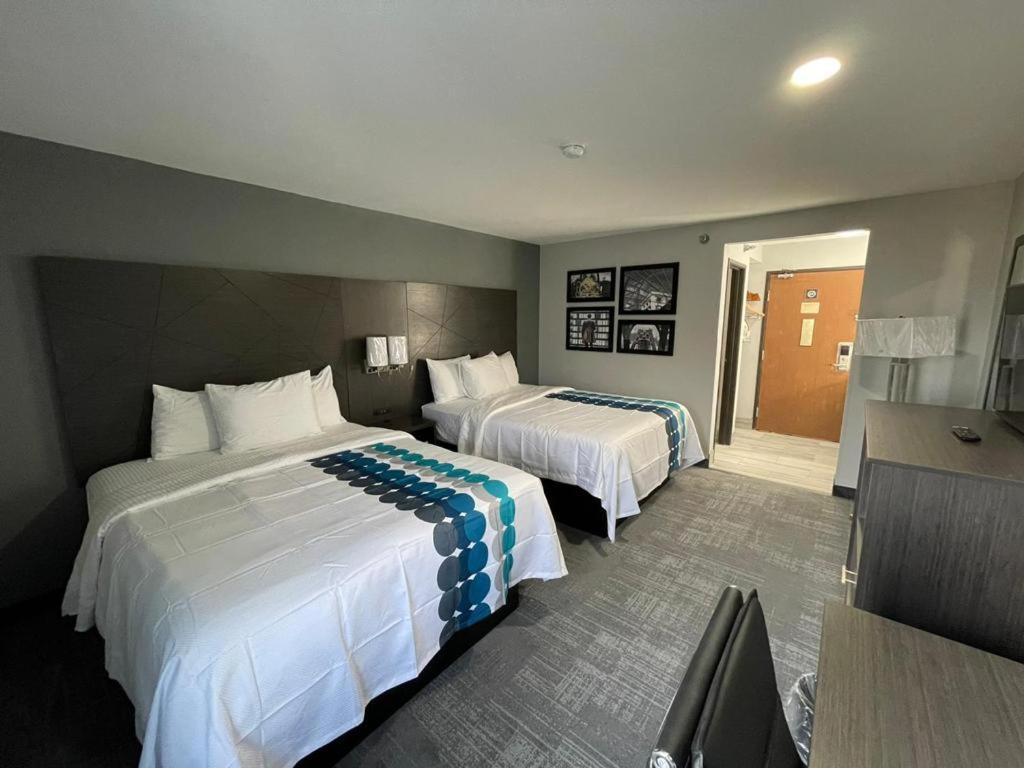 Studio Suite Two Queen Beds Non-Smoking,1371304721:JPEG