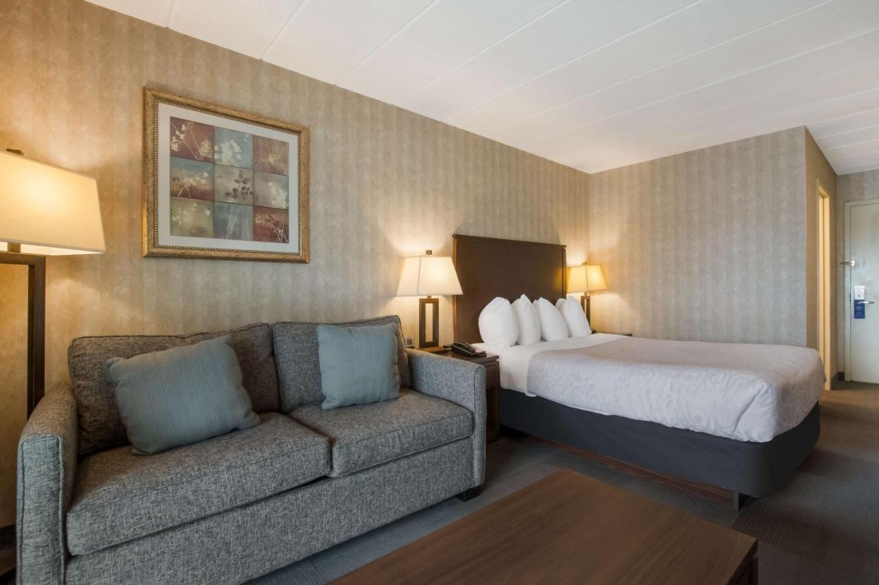 King Room Sofa Bed