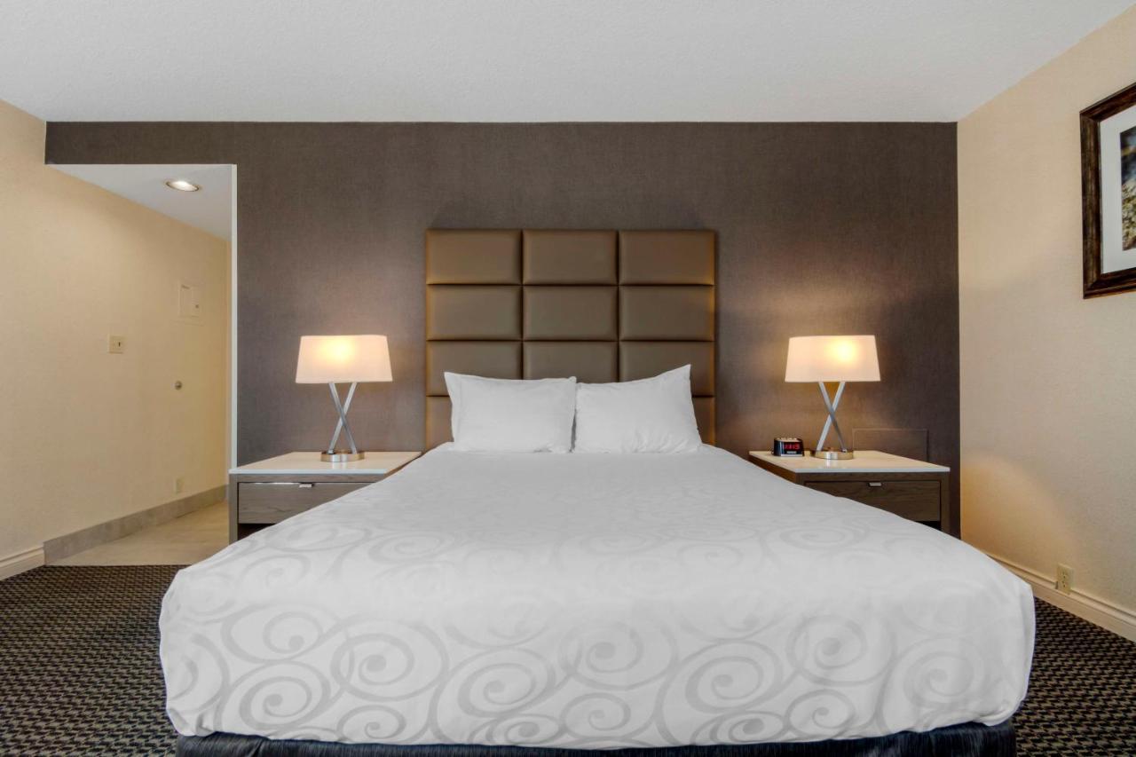 Superior Room 1 King Bed Non Smoking Balcony