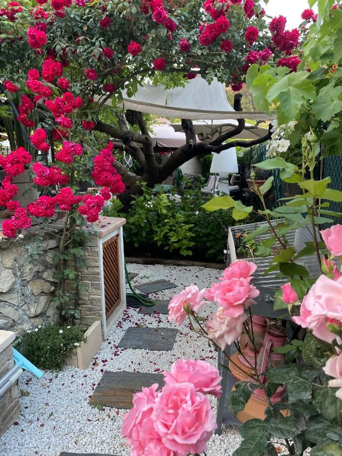 Chambre Familiale - Vue sur Jardin