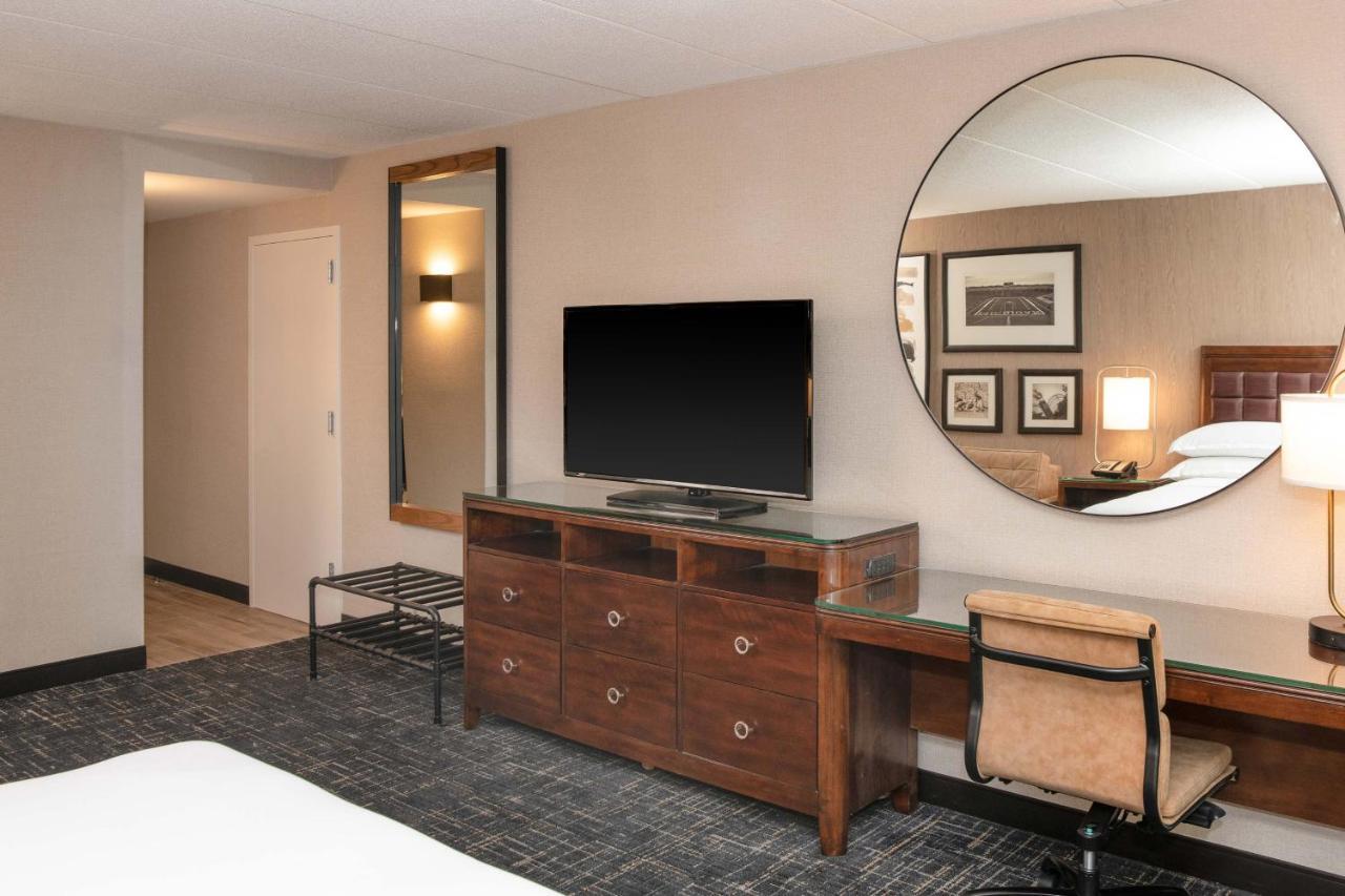 Junior Suite 1 King Sofa bed,1398010148:JPEG